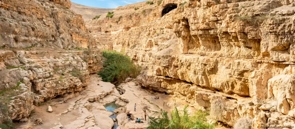 deserto-judeia-1024x448 Semente 'Ressuscitada' Pode Esclarecer Mistério Bíblico